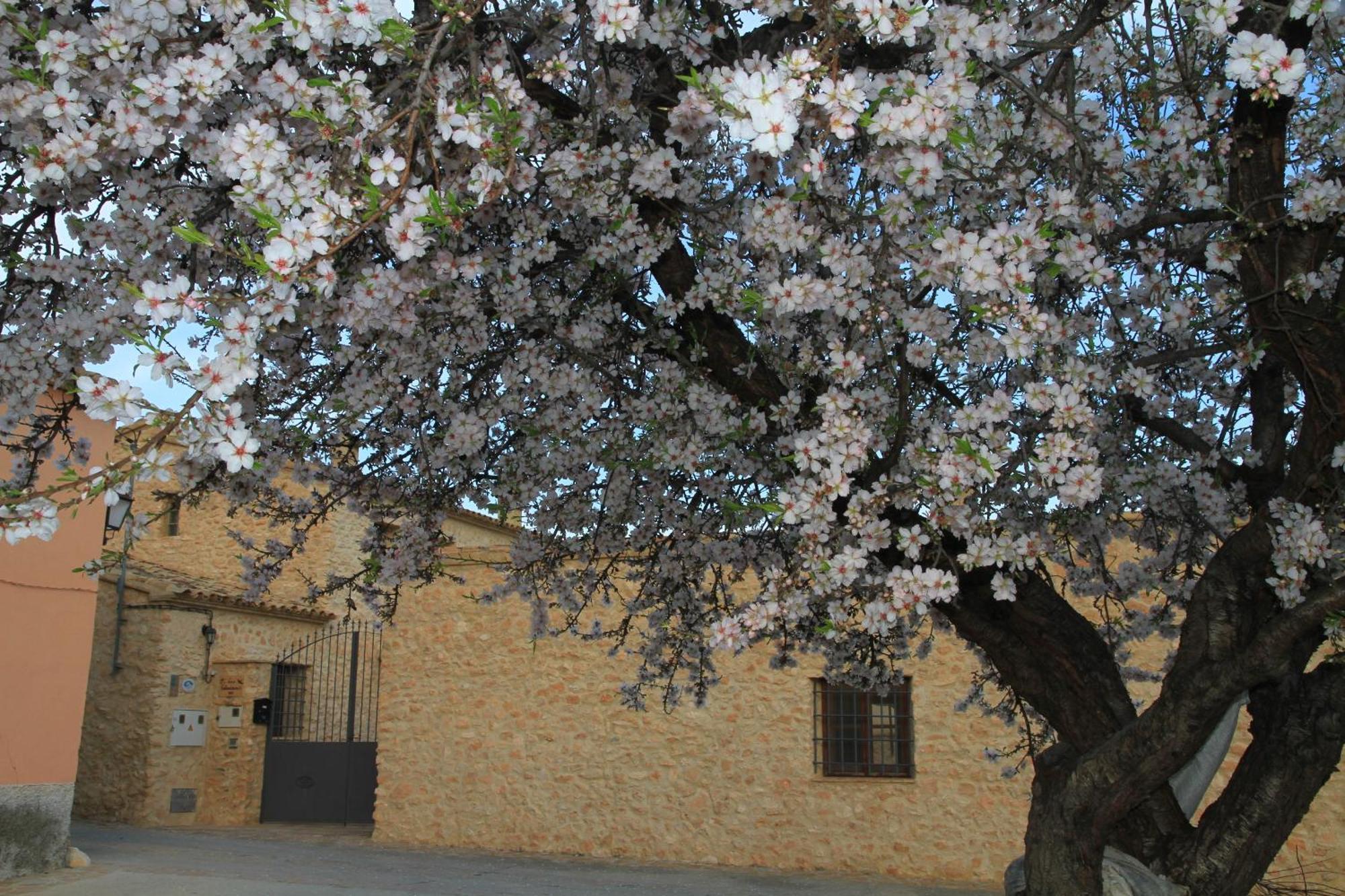 Alojamientos Rurales Cortijo Las Golondrinas Алама де Мурсия Екстериор снимка