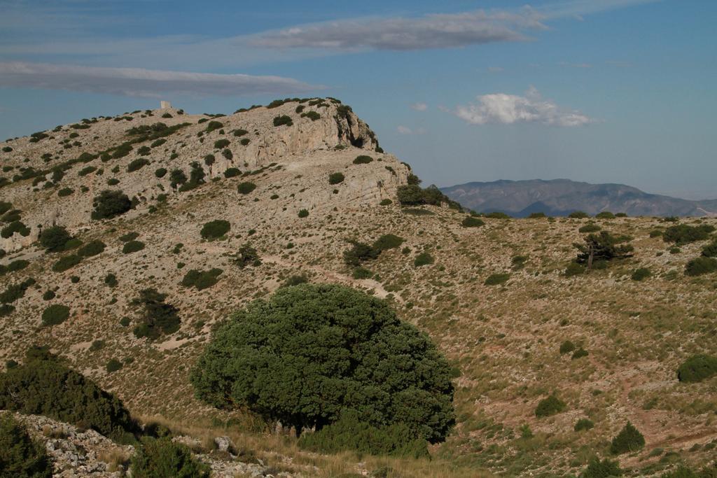 Alojamientos Rurales Cortijo Las Golondrinas Алама де Мурсия Екстериор снимка