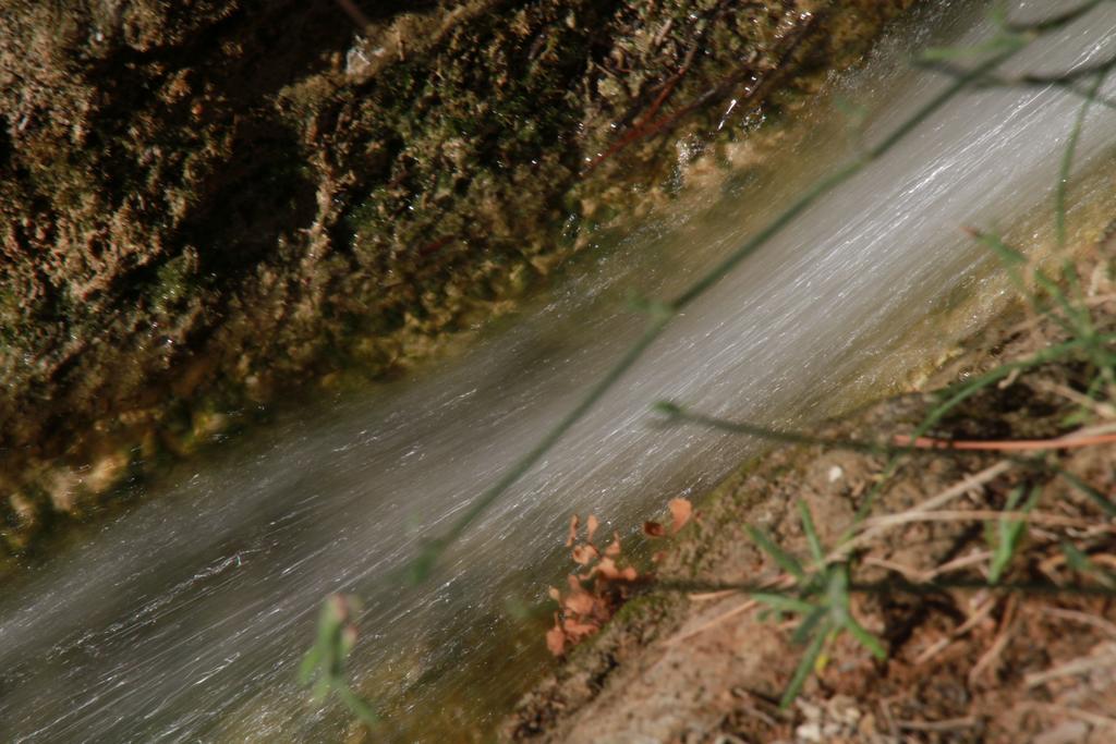 Alojamientos Rurales Cortijo Las Golondrinas Алама де Мурсия Екстериор снимка