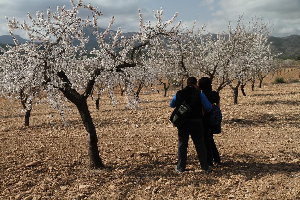 Alojamientos Rurales Cortijo Las Golondrinas Алама де Мурсия Екстериор снимка