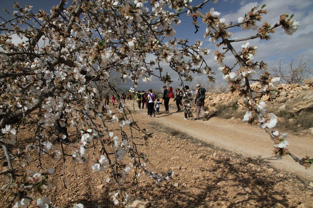 Alojamientos Rurales Cortijo Las Golondrinas Алама де Мурсия Екстериор снимка