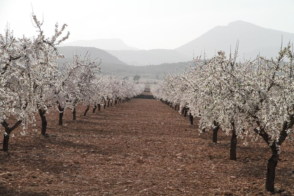 Alojamientos Rurales Cortijo Las Golondrinas Алама де Мурсия Екстериор снимка